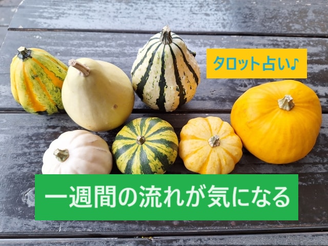 重要タイミングに「1週間占い」アドバイスします タロット占いで、次の1週間の流れとアドバイスをリーディング イメージ1