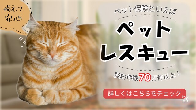 女性向けWEB画像作成いたします シンプルで柔らかい表現の画像、お求めではありませんか？ イメージ3