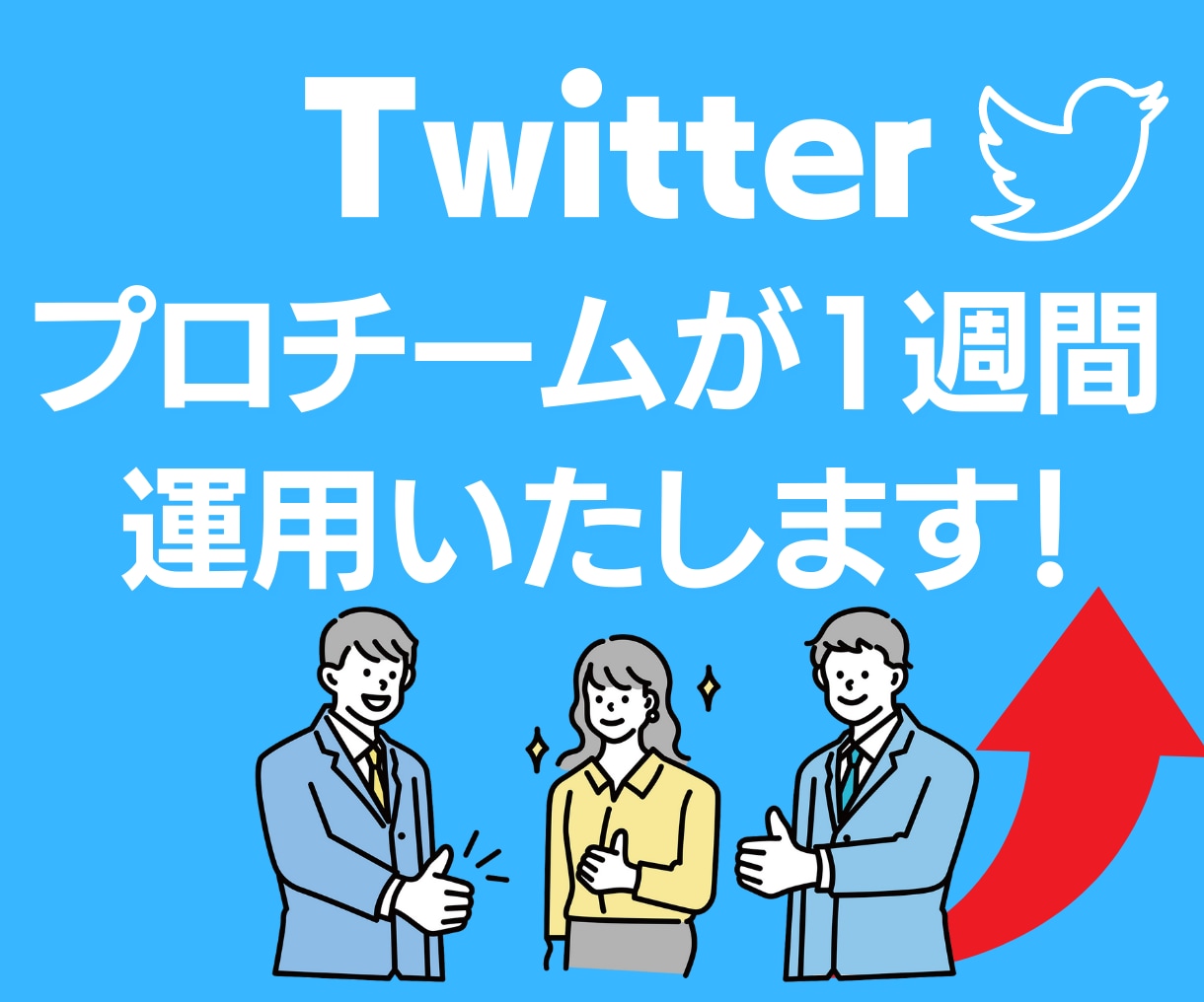 Twitter1週間チームで運用代行いたします 運用は全て手作業！面倒なことは全てお任せください！ イメージ1