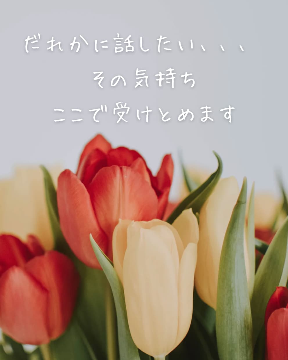 だれかに話したい…その気持ち、ここで受けとめます どんなお話も大歓迎！あなたのペースで安心して話せる場所です イメージ2