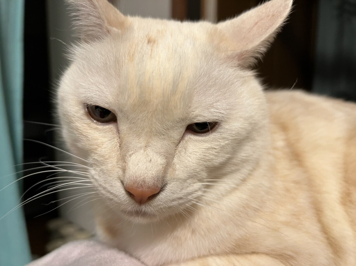 お話ししましょう☀︎聞き役にも話し役にもなります 話したいことがまとまってなくてもゆっくりで大丈夫です イメージ1