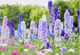 お悩み・モヤモヤ・イライラをスッキリ解決します ルノルマン鑑定◇解決したい!糸口をみつけたい!現状が動かない イメージ4