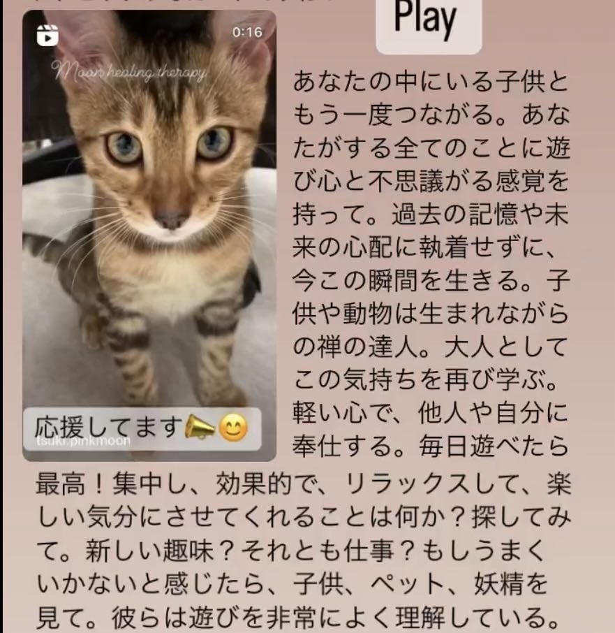 電話で心がほどける！オラクルカード引きます 電話で相談するだけで、迷いがほどける不思議体験 イメージ2