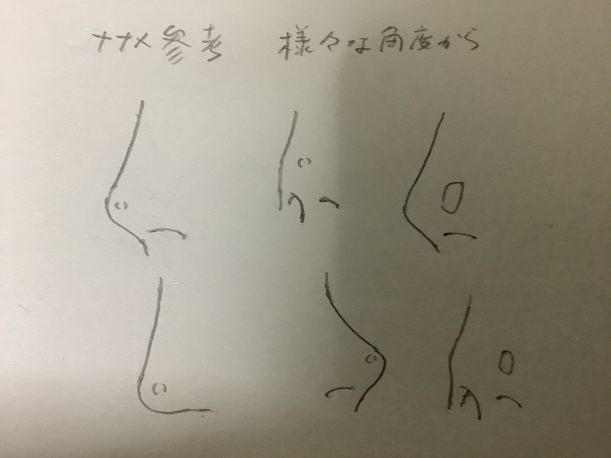 顔の全角度主に鼻のデザインをします 月額２５0００円ーで使える様にします！ イメージ1