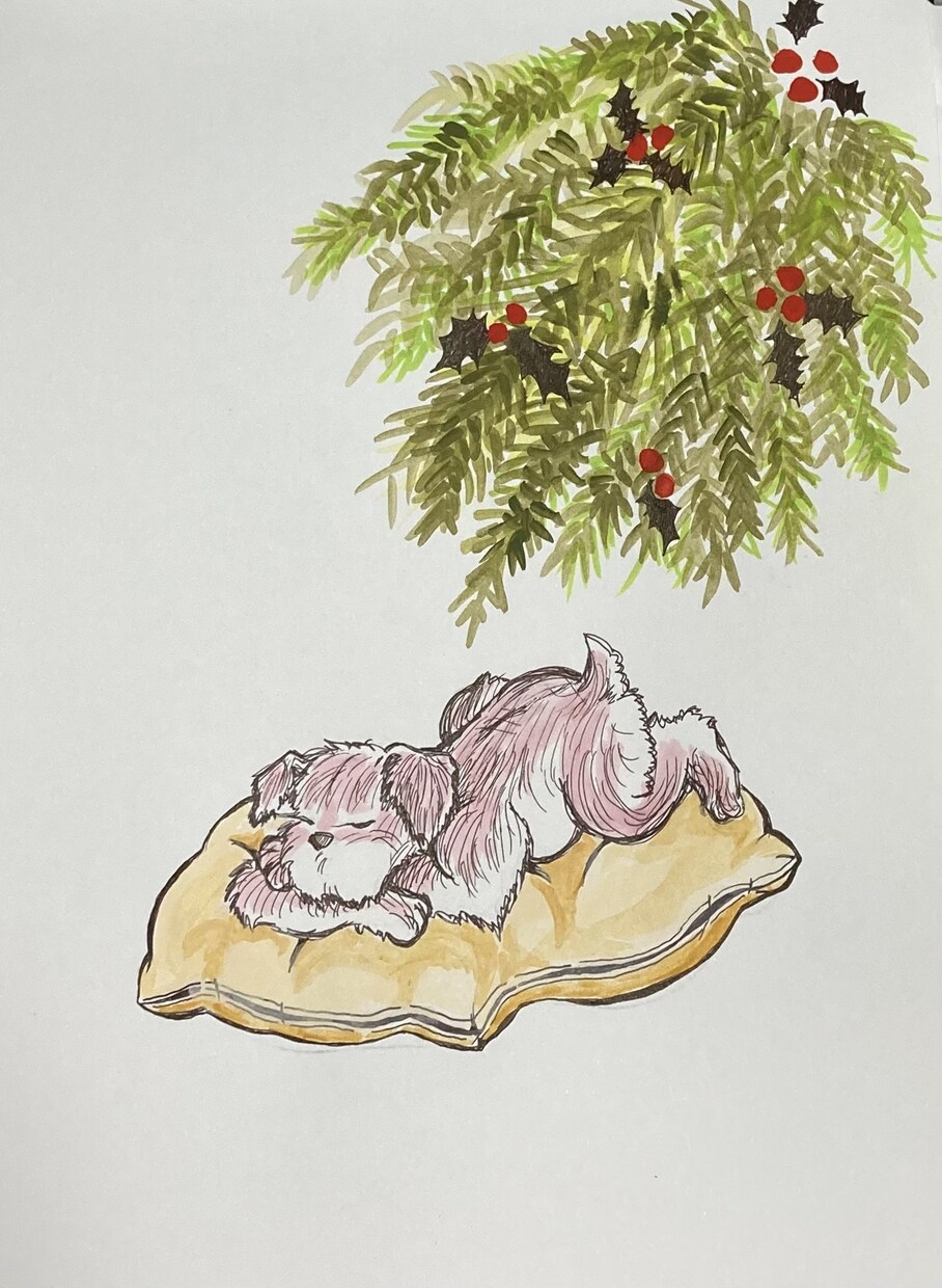 可愛いペット（犬、猫以外も可）似顔絵承ります ペット全般のアナログ原画を郵送します。犬猫以外も受付中！！ イメージ9