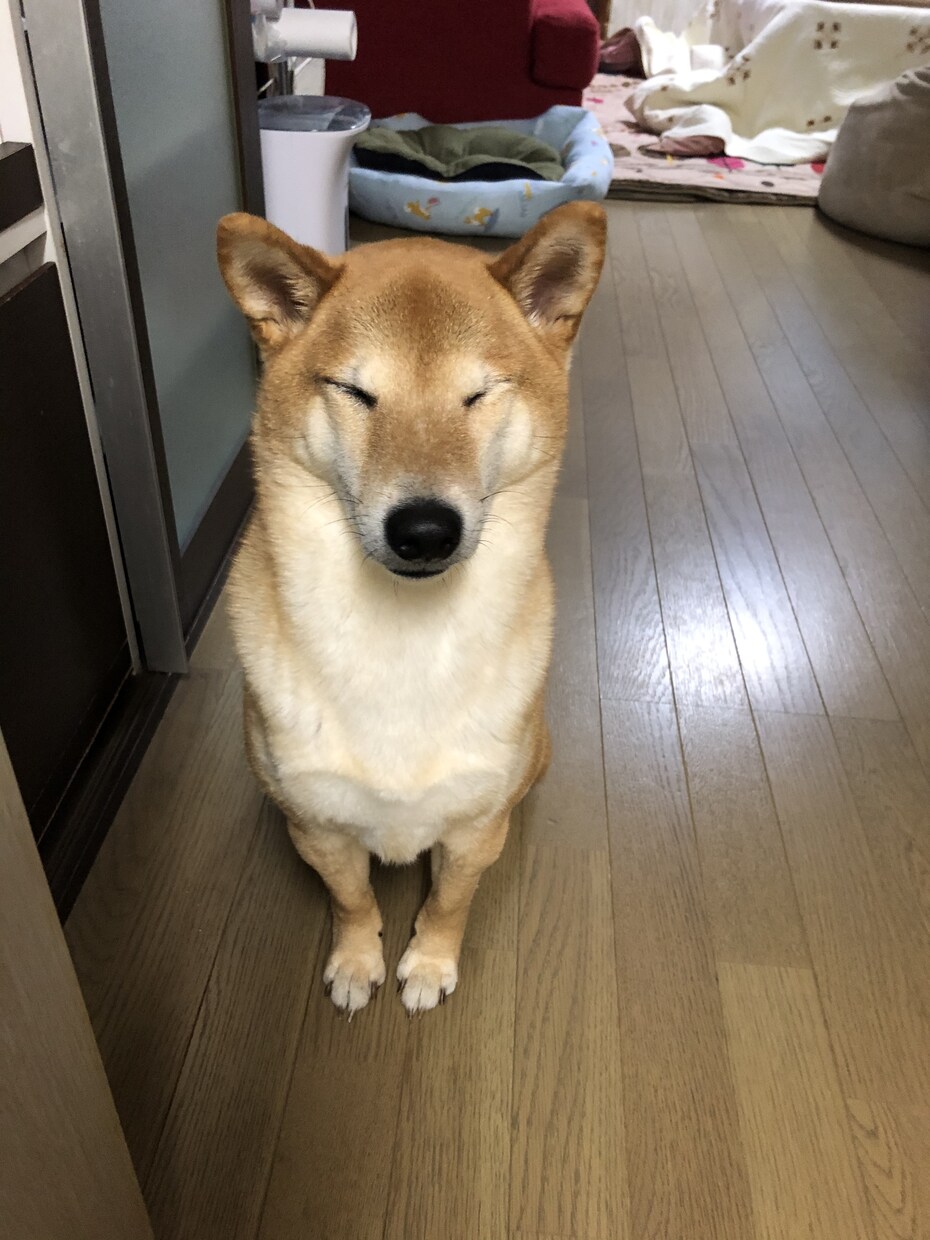 行き場のない気持ちを承ります 溜め込んでるものがあれば、話してみませんか？ イメージ1