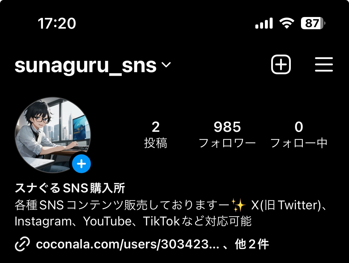 フォロワー増やして集客、運用をお手伝いいたします SNSアカウント充実させませんか？ イメージ3