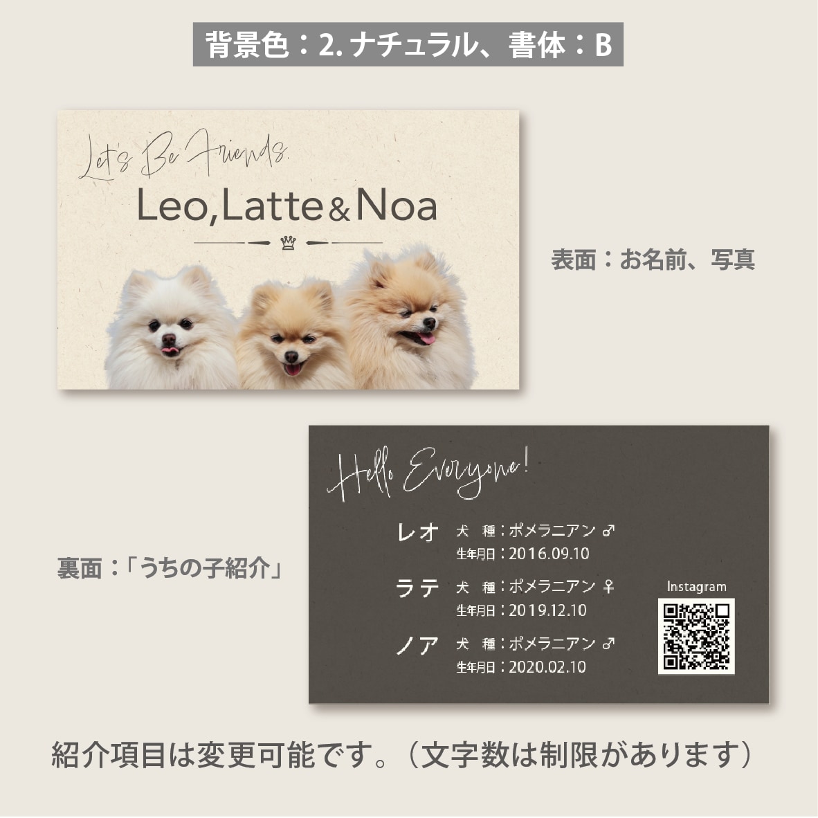 写真入り多頭ペット名刺をシンプルデザインで作ります グラフィックデザイナーにセミオーダー！両面印刷100枚送料込 イメージ5