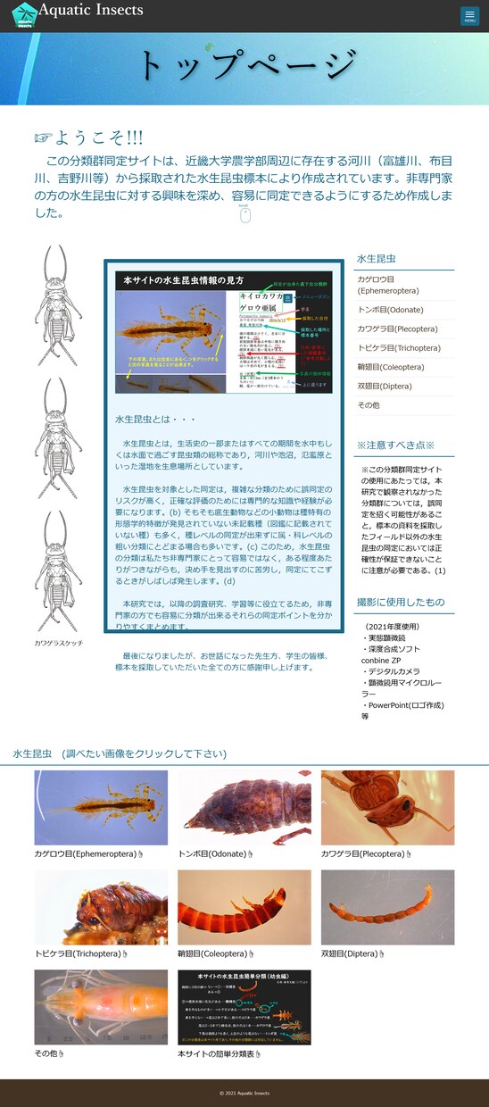 HTML、CSSコーディングできます 対象に合わせたサイト構築を目指します。 イメージ2