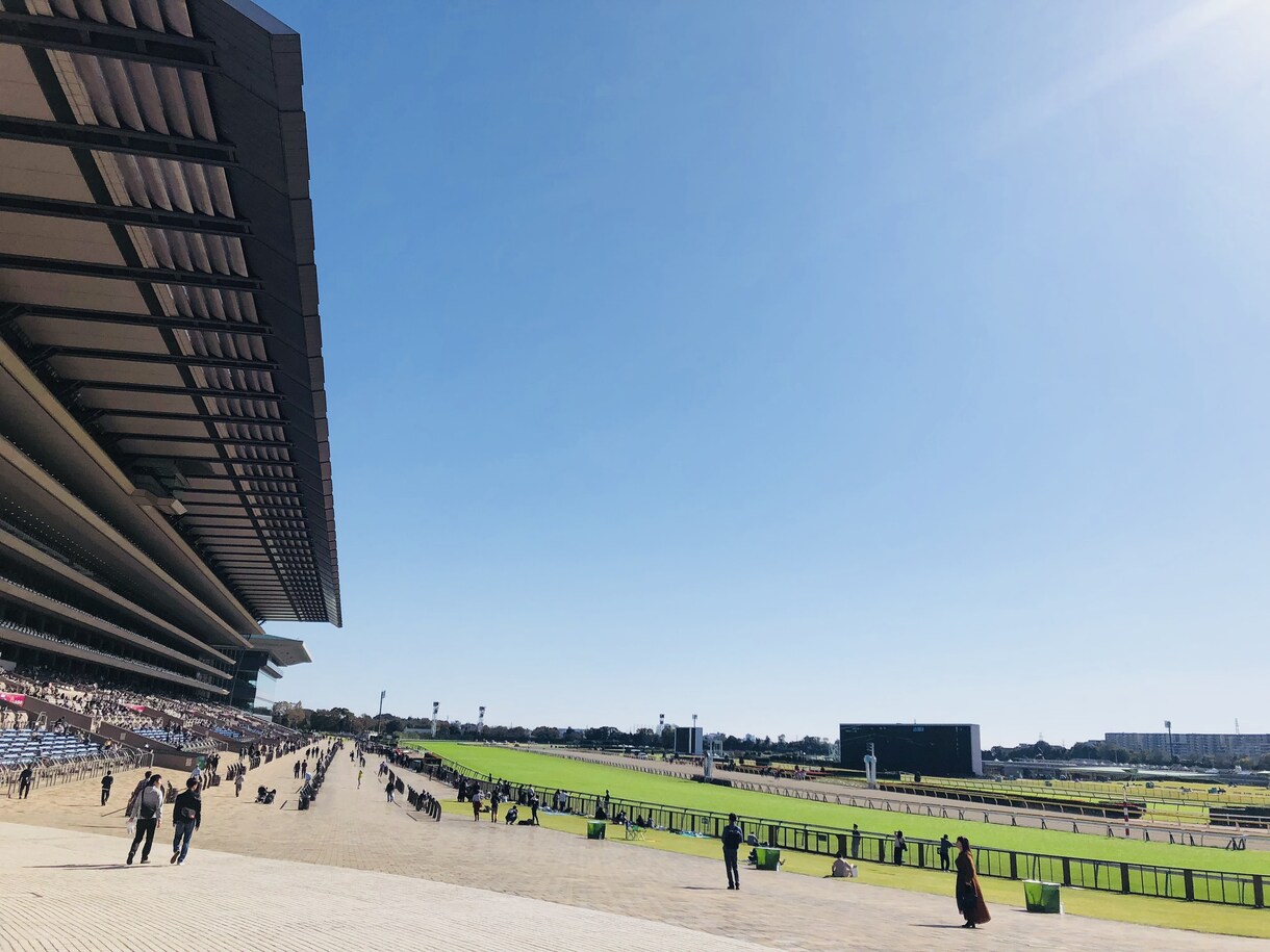 初心者向け競馬の予想方法、楽しみ方を教えます 競馬初心者の方  また競馬が好きな方！ イメージ1