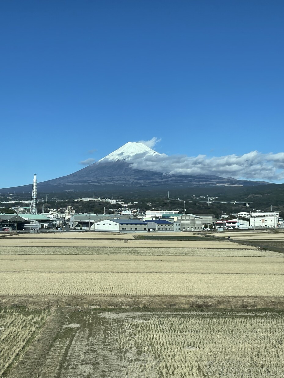 病院に頼る前の健康相談お受けします カラダからの声を大切にセルフケアで心とカラダを整えていく方法 イメージ1