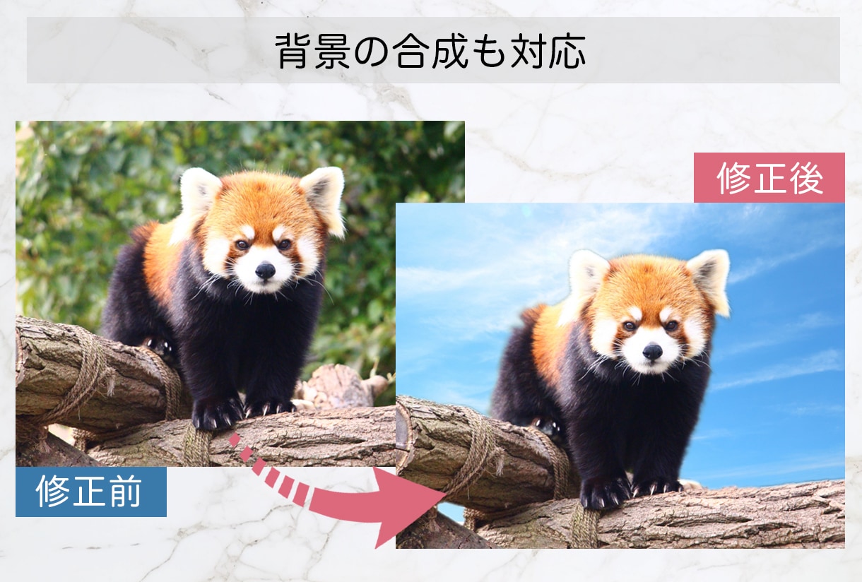当日納品可！人物・商品の補正・修正・加工します 写真補正の仕事経験があるプロデザイナー。スピード即日対応可能 イメージ6