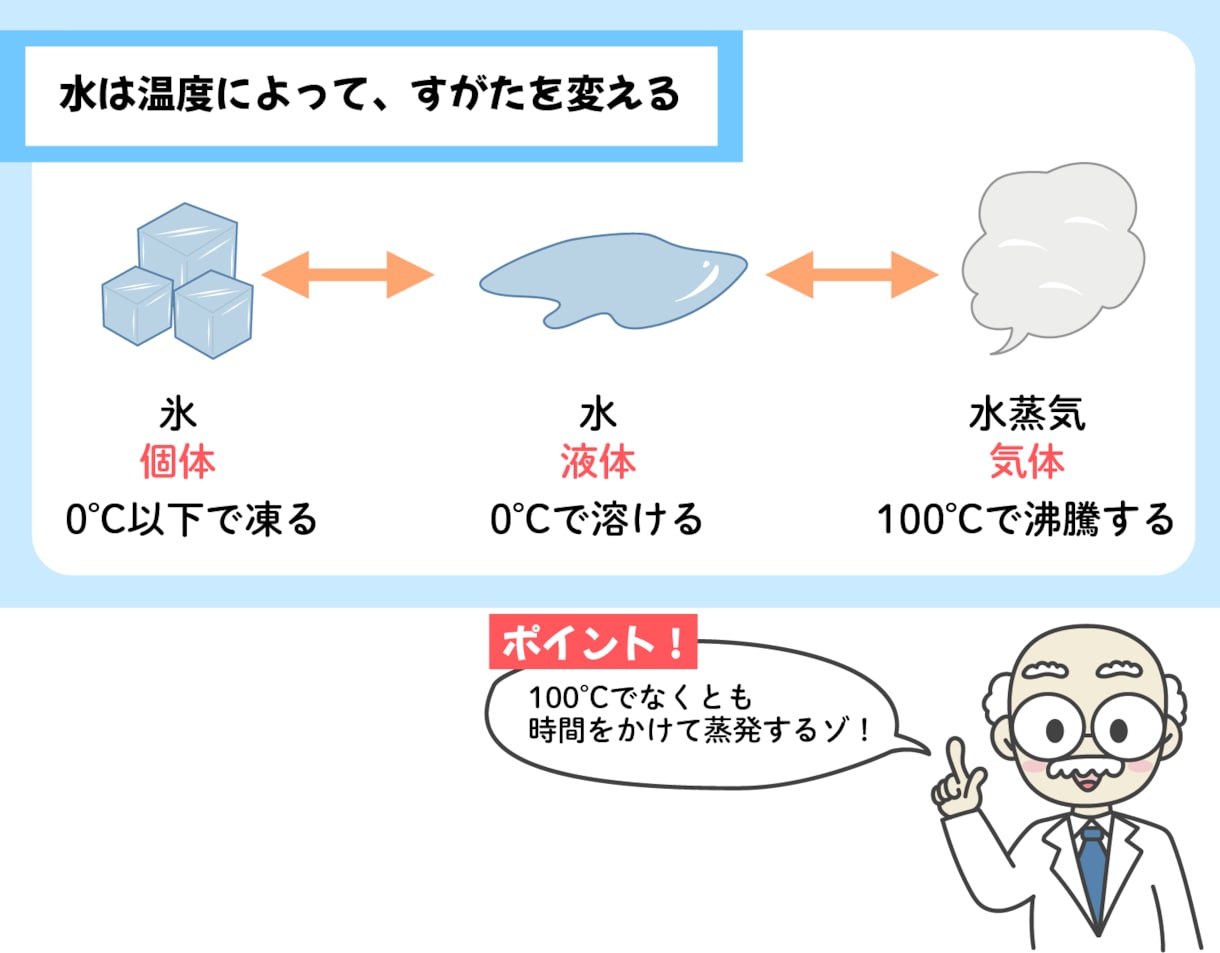 ほっこり優しく親しみやすい児童用のイラスト描きます 児童用の書籍に！間違い探しなども描けます。 イメージ4