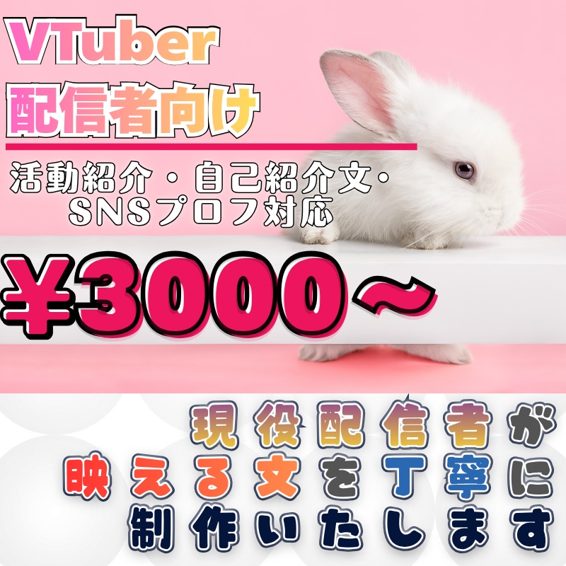 VTuber・配信者向け紹介文を書きます あなたの“らしさ”を言葉で届けます イメージ1