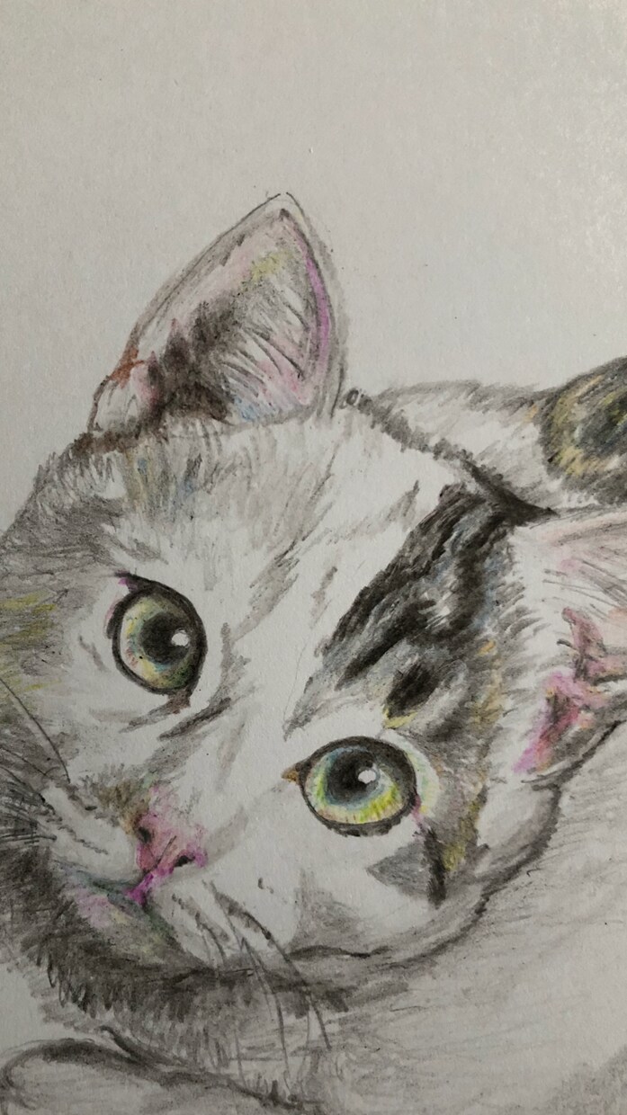 ねこ(いぬ)の似顔絵を描きます 愛する猫ちゃん(ワンちゃん)似顔絵を飾りましょう！ イメージ5