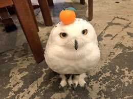 秘密の稼ぎ方教えちゃいます 本当に稼ぎたい方だけお願いします！ イメージ1