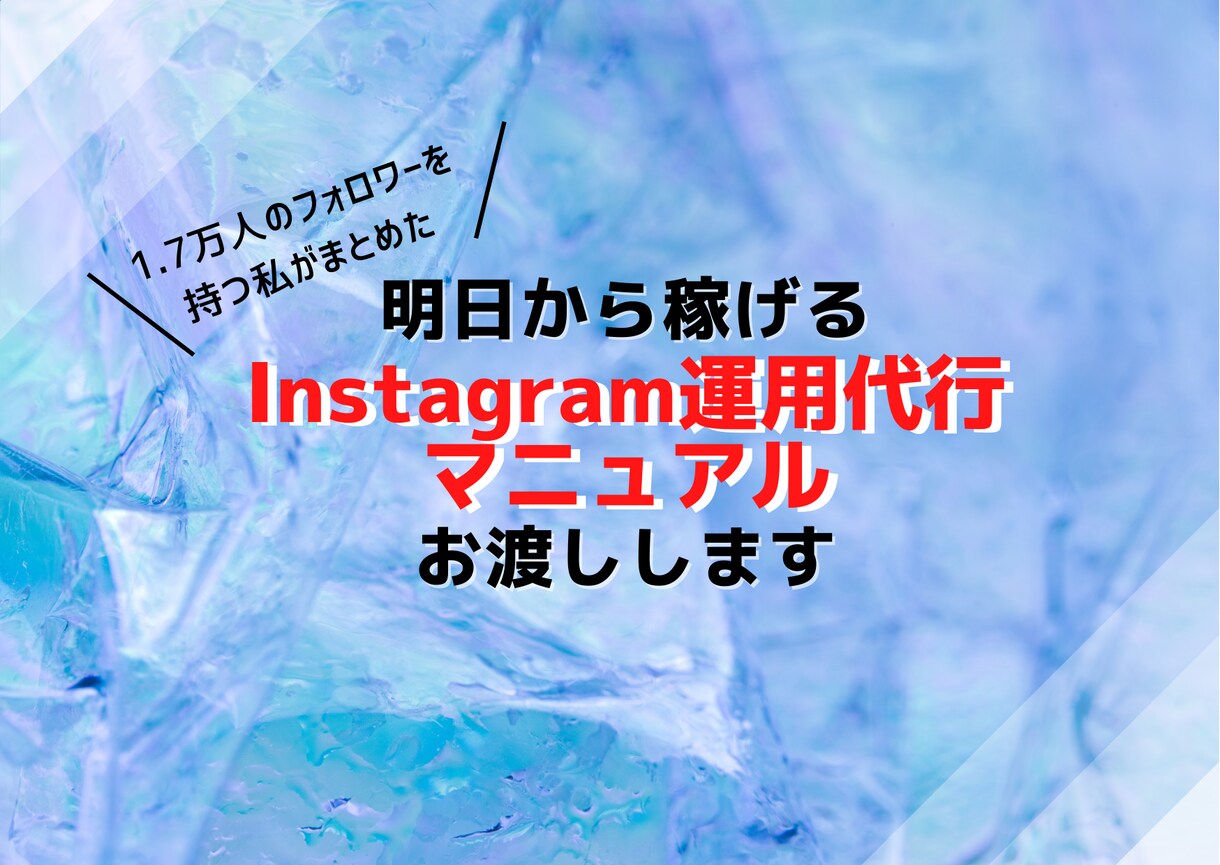 誰でもできるインスタ運用代行の方法教えます FF1.7万人越えの私が作成したマニュアル配布！ イメージ1