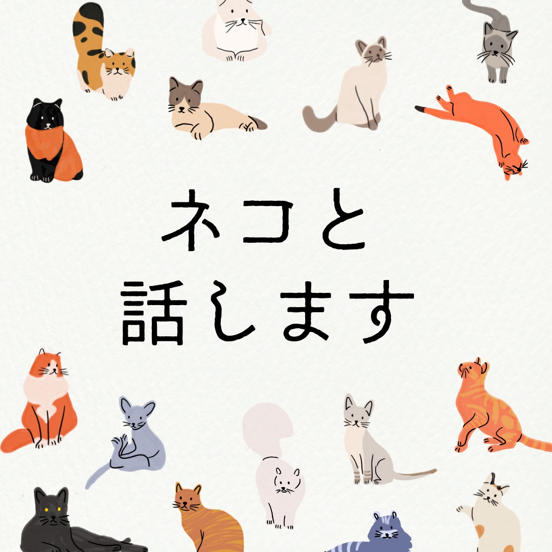 あなたの家のネコとお話します 飼い猫との縁を深めます。お話体験後は、より愛しくなります。 イメージ1