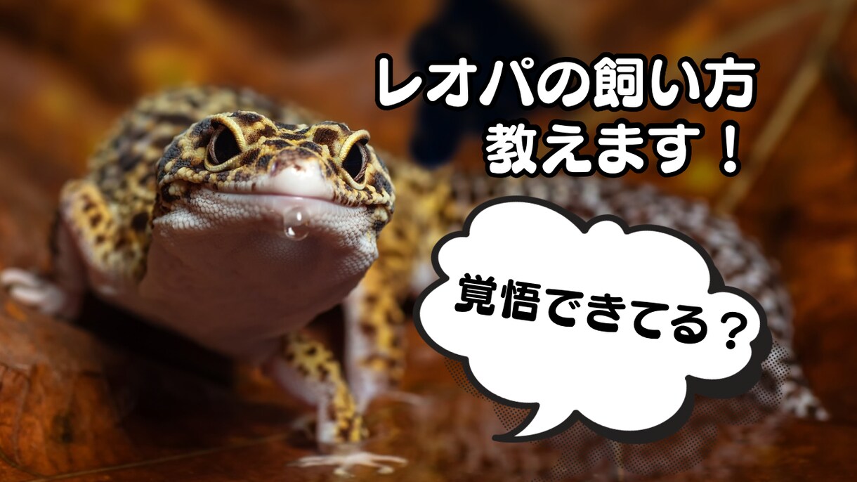 動画系のサムネイル、ヘッダー、ロゴを作製します みなさんの思いや伝えたい情報を最大限活かして作品に反映します イメージ3