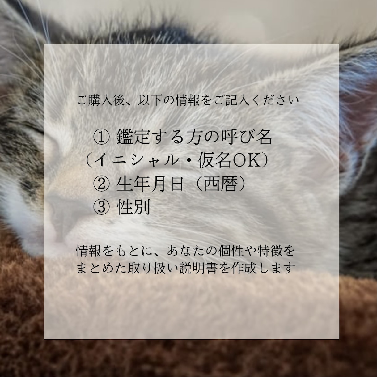 あなたのトリセツ(取り扱い説明書)作ります 自分ってこうだったんだ！を発見できる、あなただけの取扱説明書 イメージ4