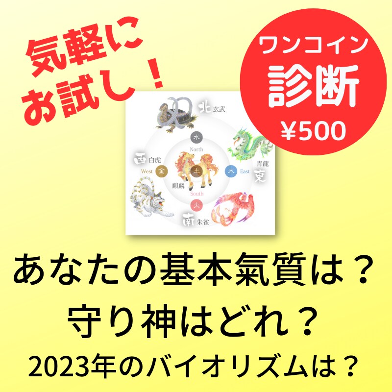 基本氣質と2023年のバイオリズムをお伝えします 自分の氣質と2023年のバイオリズムを知ってみませんか イメージ1