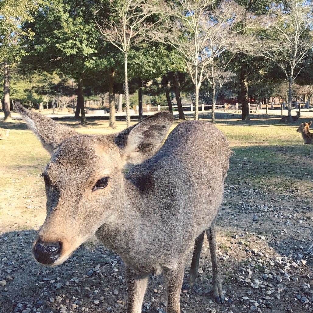 旅行の概念を変えます 私たちと一緒に新しい旅に出ませんか？ イメージ2