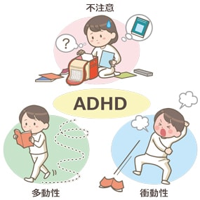 ADHDの方々に寄り添って対応致します あなたの心にあなたの生きやすい道を作ります イメージ2