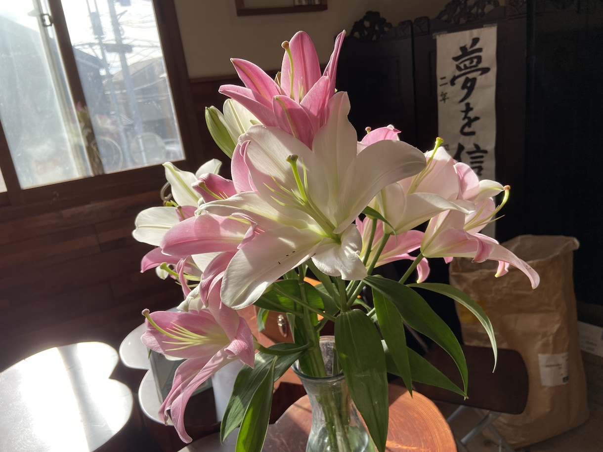 心に寄り添う占い処方箋をお出しします 占い処方箋は心を込めて鑑定します イメージ6