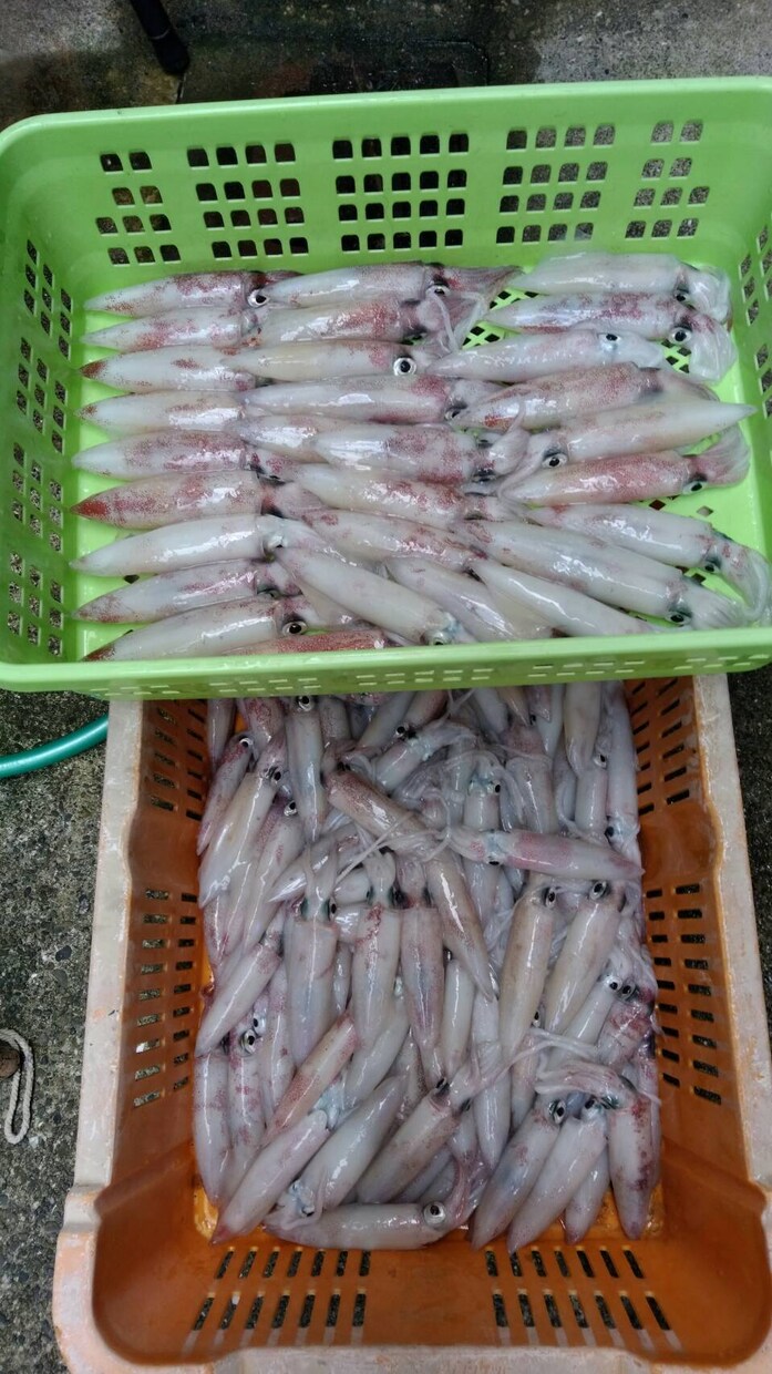 実績あり！釣り針の結び方、趣味漁師が直伝します 漁師の世界は企業秘密。だからこそ価値がある。 イメージ9