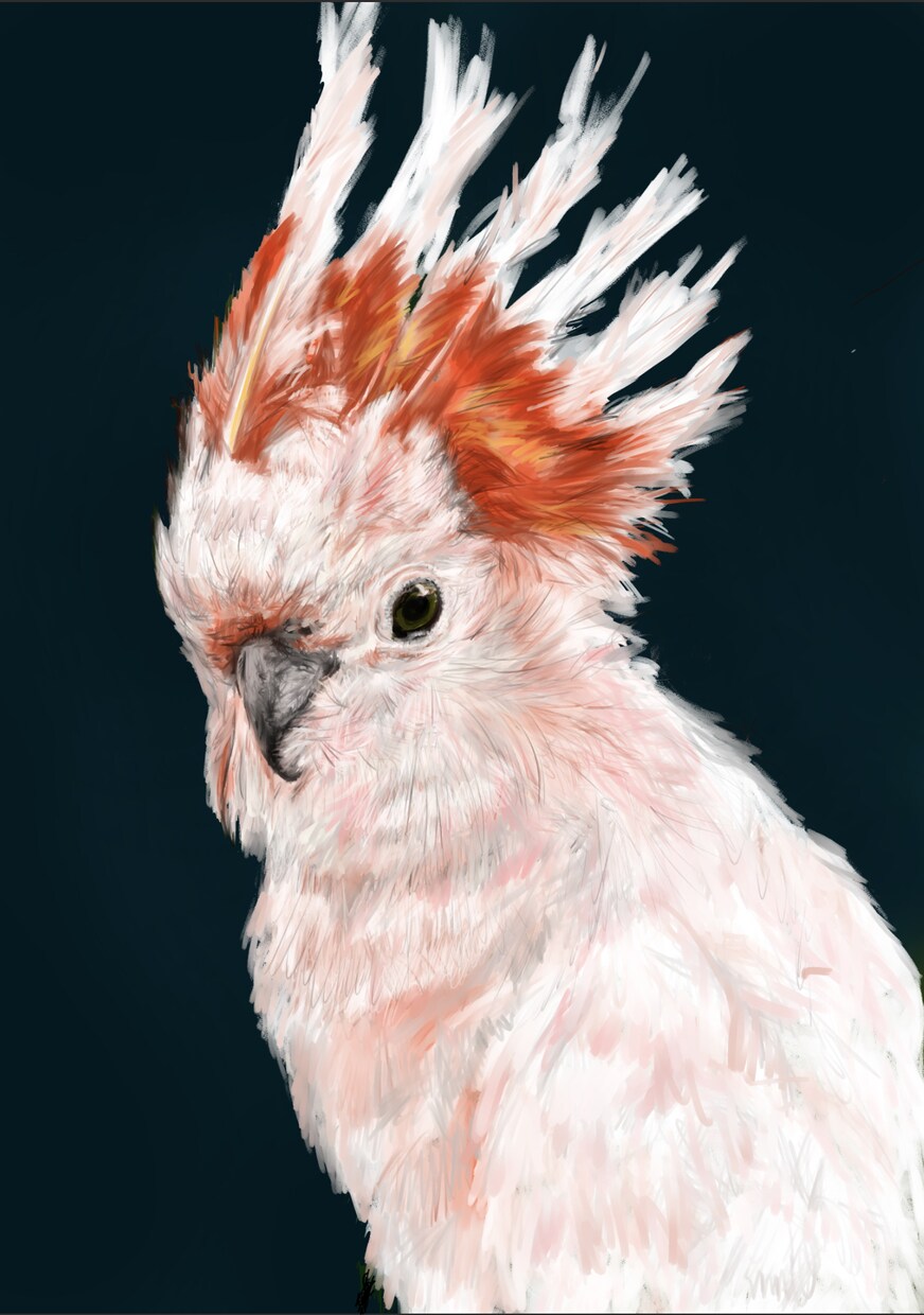 ペットの似顔絵・生物画を生き生きと描きます ペットの似顔絵など、生き生きした動物画をデジタルで書きます。 イメージ5