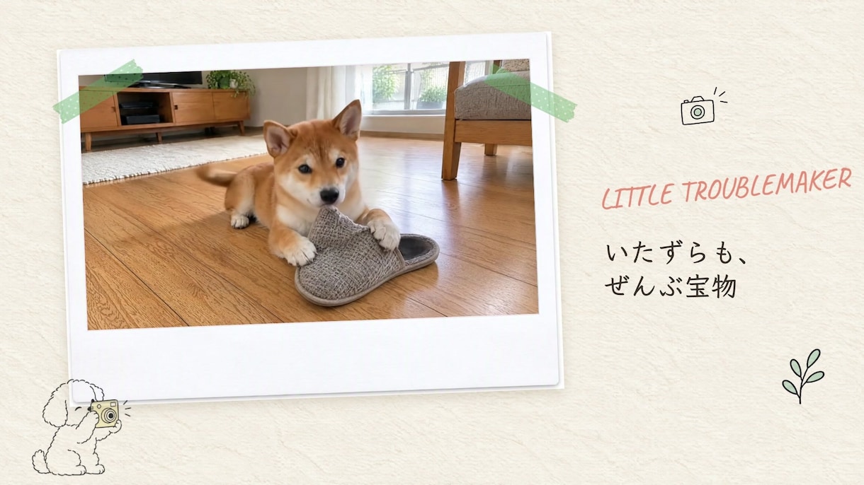 手書き風！ペットの思い出ムービー作ります お気に入りで15%オフ チェキと手書き風で約3分 イメージ5