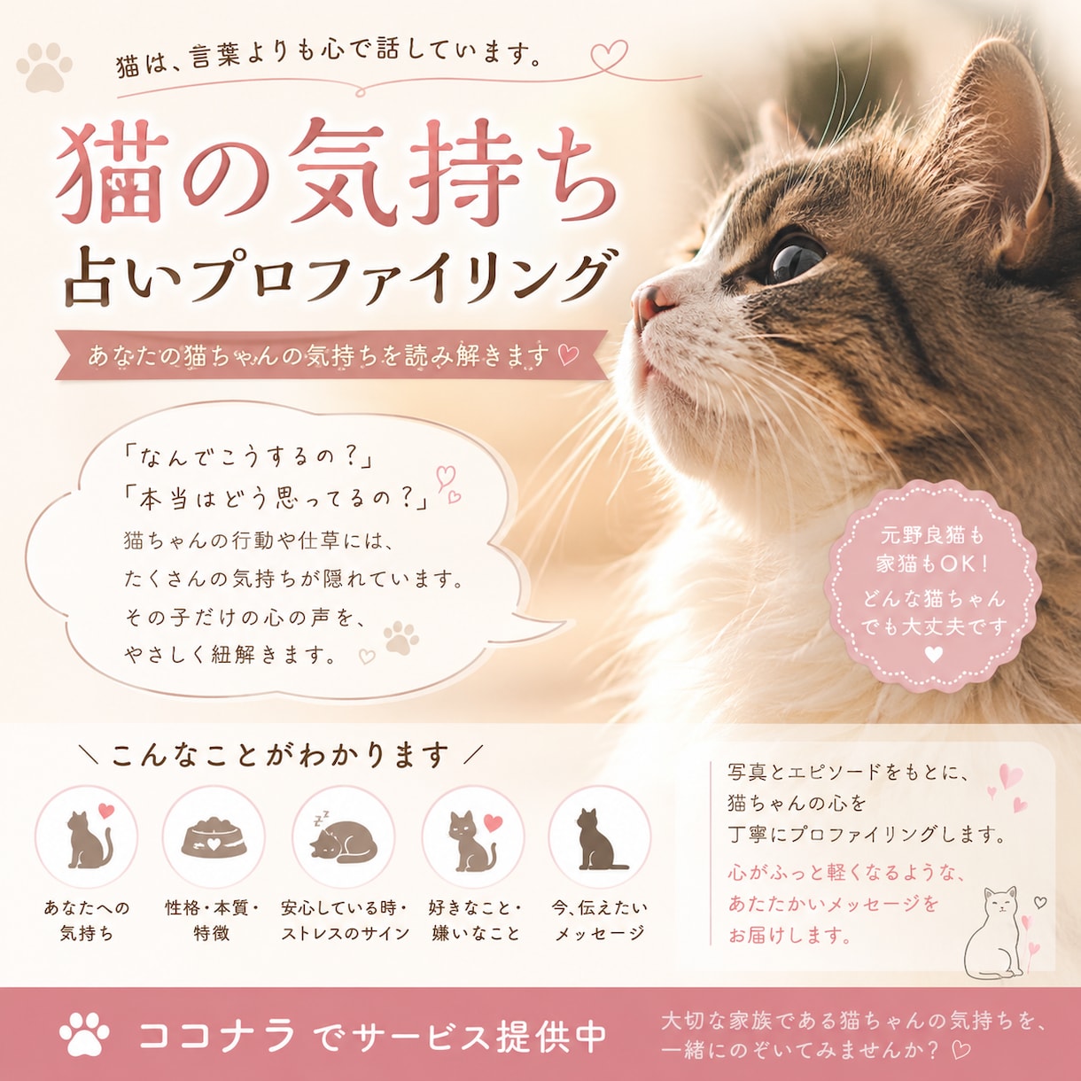 愛猫の本音と絆を読み解きます 猫の気持ち占いプロファイリング イメージ1