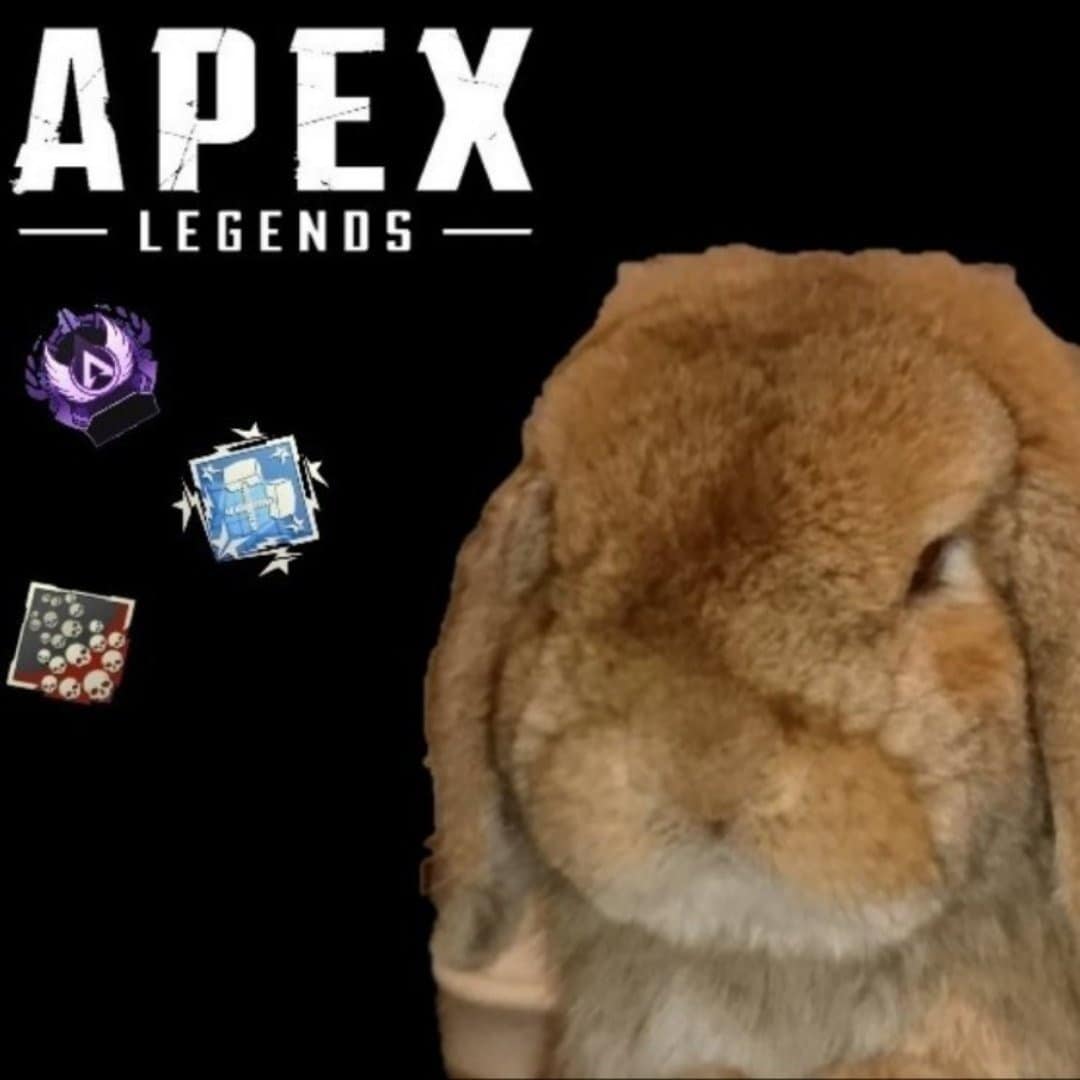 ApexLegendsスキルアップ手伝います ソロマス経験ありマスターダイヤ以外でもいろいろ力になりたい! イメージ1