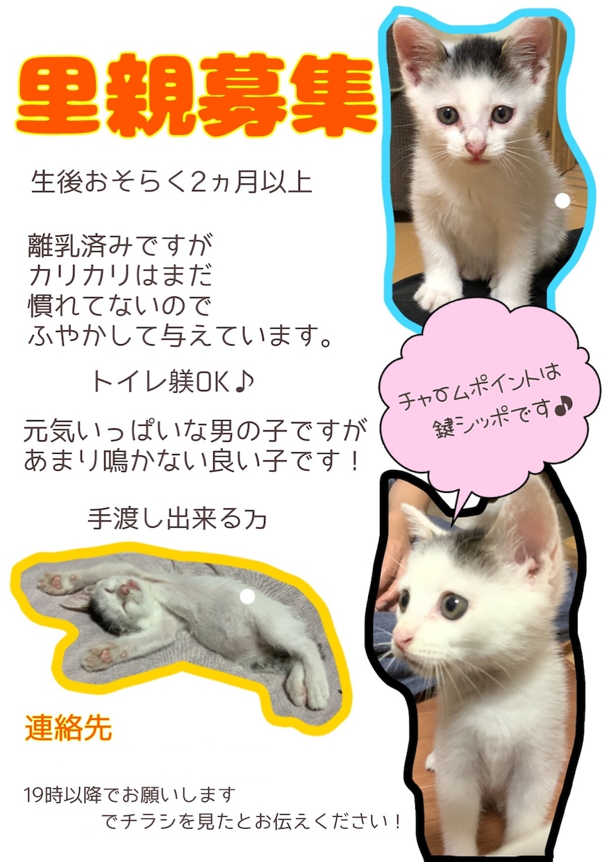 お店のPOPや商品の宣伝チラシ等をデザインます 見やすく分かりやすくあなたの代わりにデザインします！ イメージ2