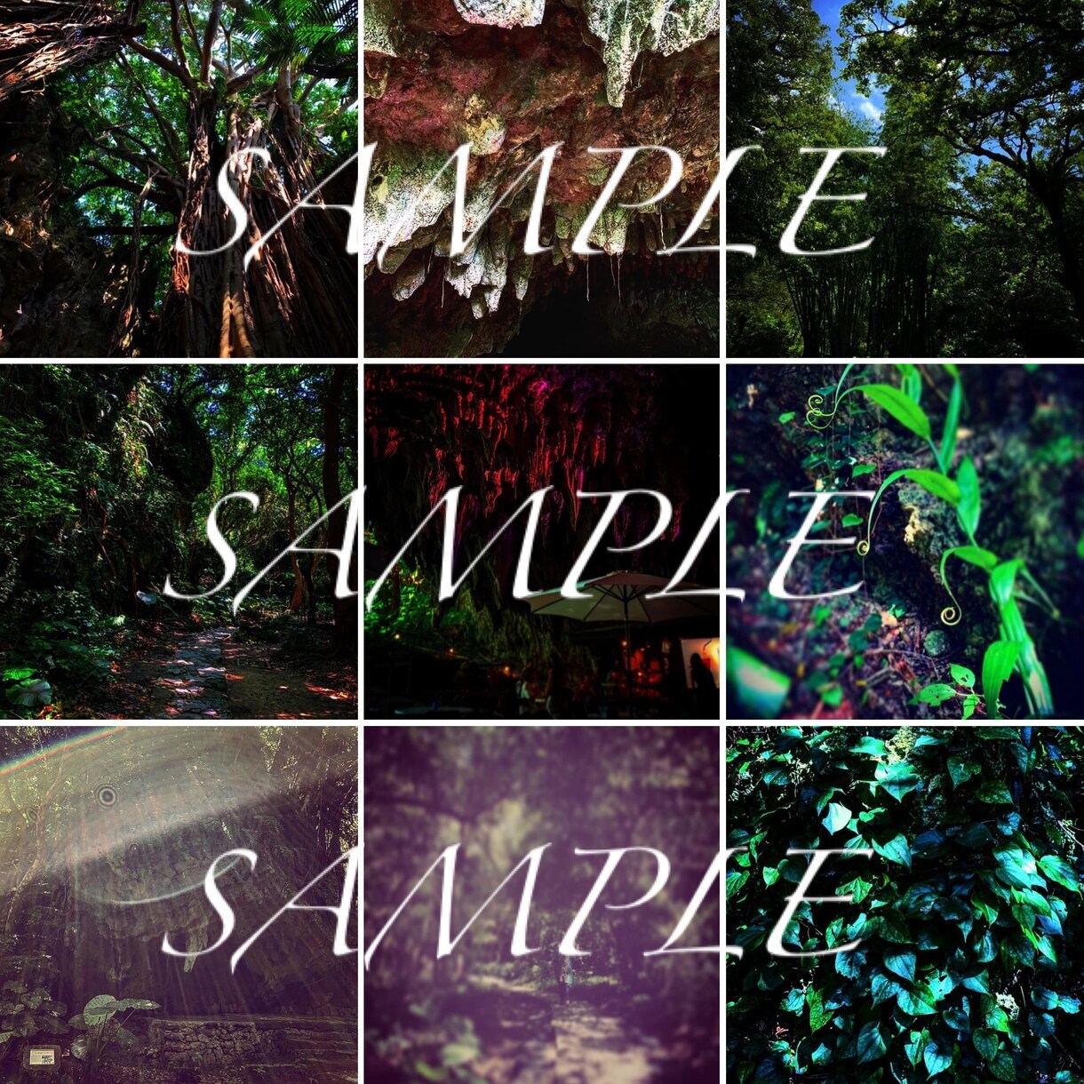 著作権フリーの写真素材をご提供します ★商品利用その他OK★世界中で撮ってきた写真です。Ver.① イメージ5