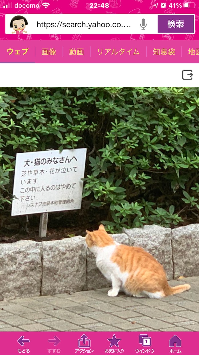 ドロップアウトした方の支援をしています 将来に悩みを抱えている方、お気軽にどうぞ イメージ1