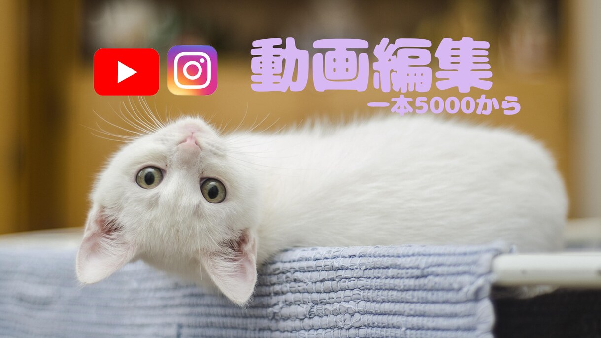 5000円〜動画編集させていただきます 追加オプションありです下記を確認ください イメージ1