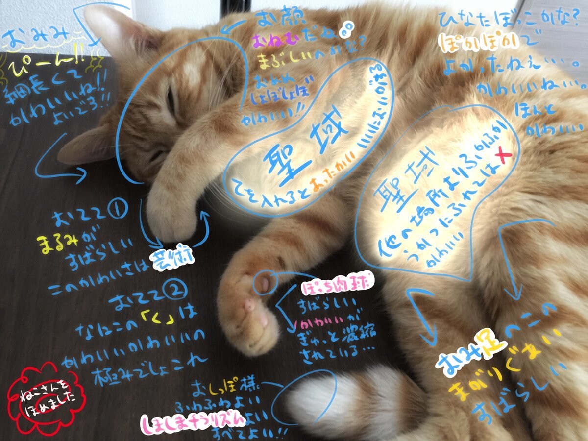 軽量版-ねこさんをほめます あなたのおうちの猫さんを褒めます イメージ6