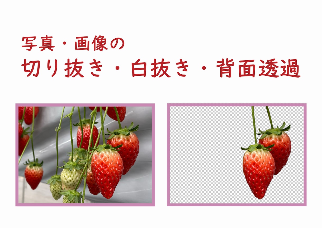 写真や画像の切り抜き、背景透過・白抜きします ご希望であれば文字入れも可能です。 イメージ1