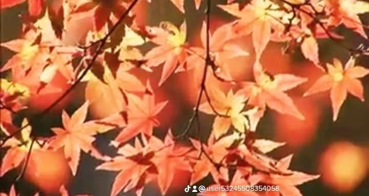 霊感霊視タロットとボイジャータロットで視ていきます お相手のお気持ち・状況・未来を視ていきます イメージ5