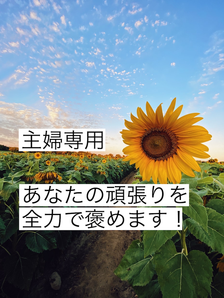 褒められたい主婦専用 毎日頑張るあなたを褒めます ✨声の自己紹介付✨あなたの頑張りをお聞かせ下さい イメージ1
