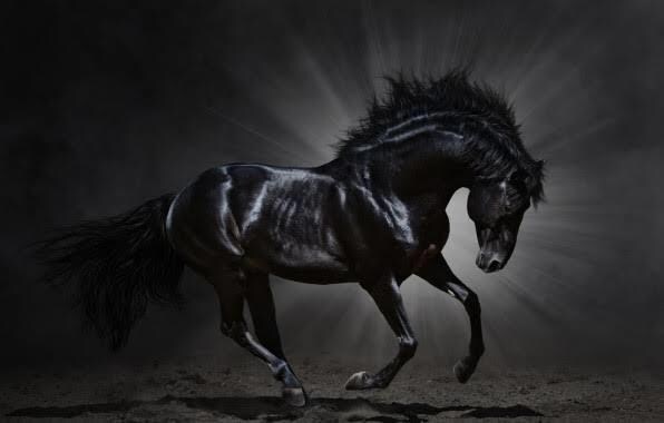 初心者でも競馬で副業！！投資術教えます ㊙️知識が無くてもOK！手堅く投資する資金配分法 イメージ1