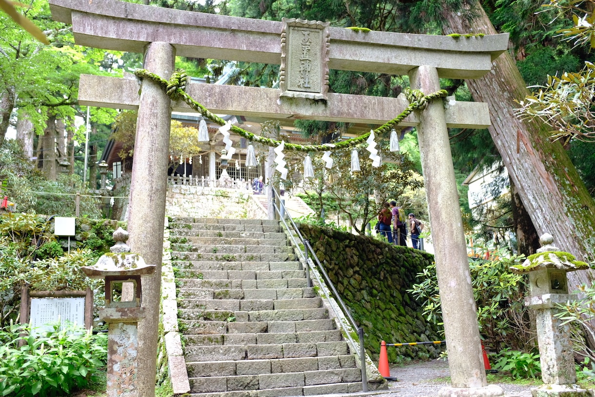 霊感タロット！あなたの人生について占います 家族関係、人間関係、人生全般、やりたいことへの道、その他等 イメージ2