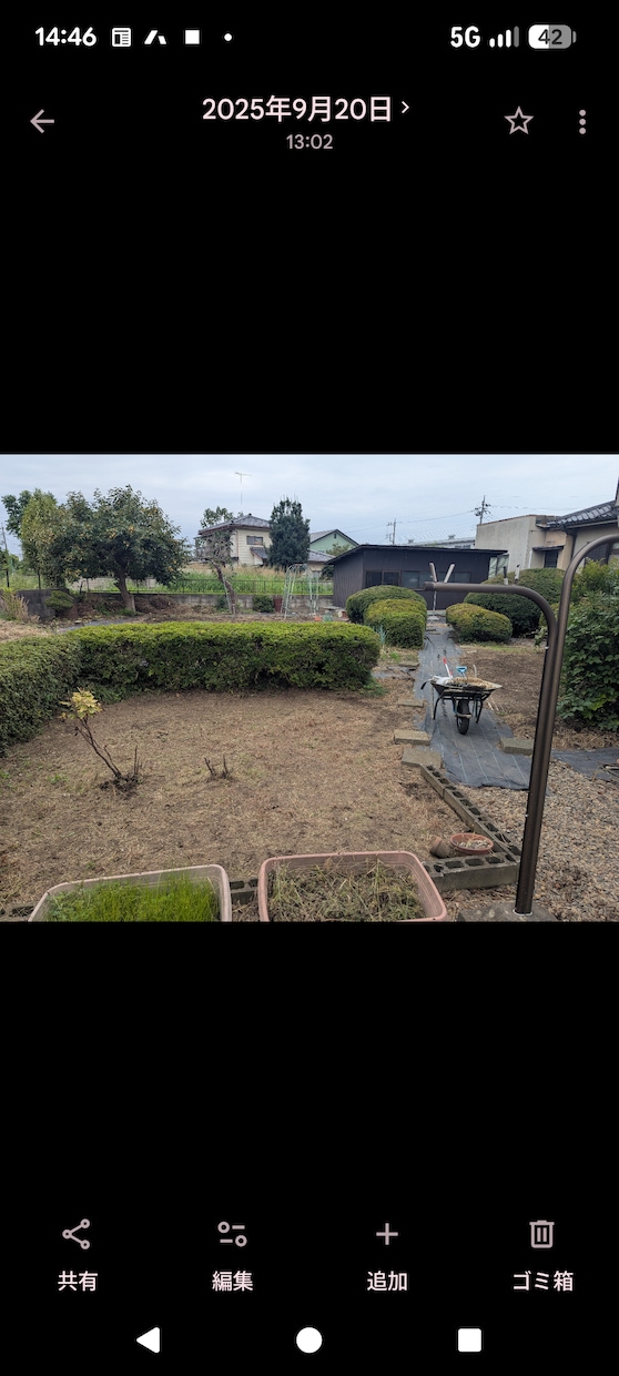 お庭や空き家の代行草刈りをします 立ち会い不要・作業前後の写真報告も可能！丁寧迅速に対応します イメージ2