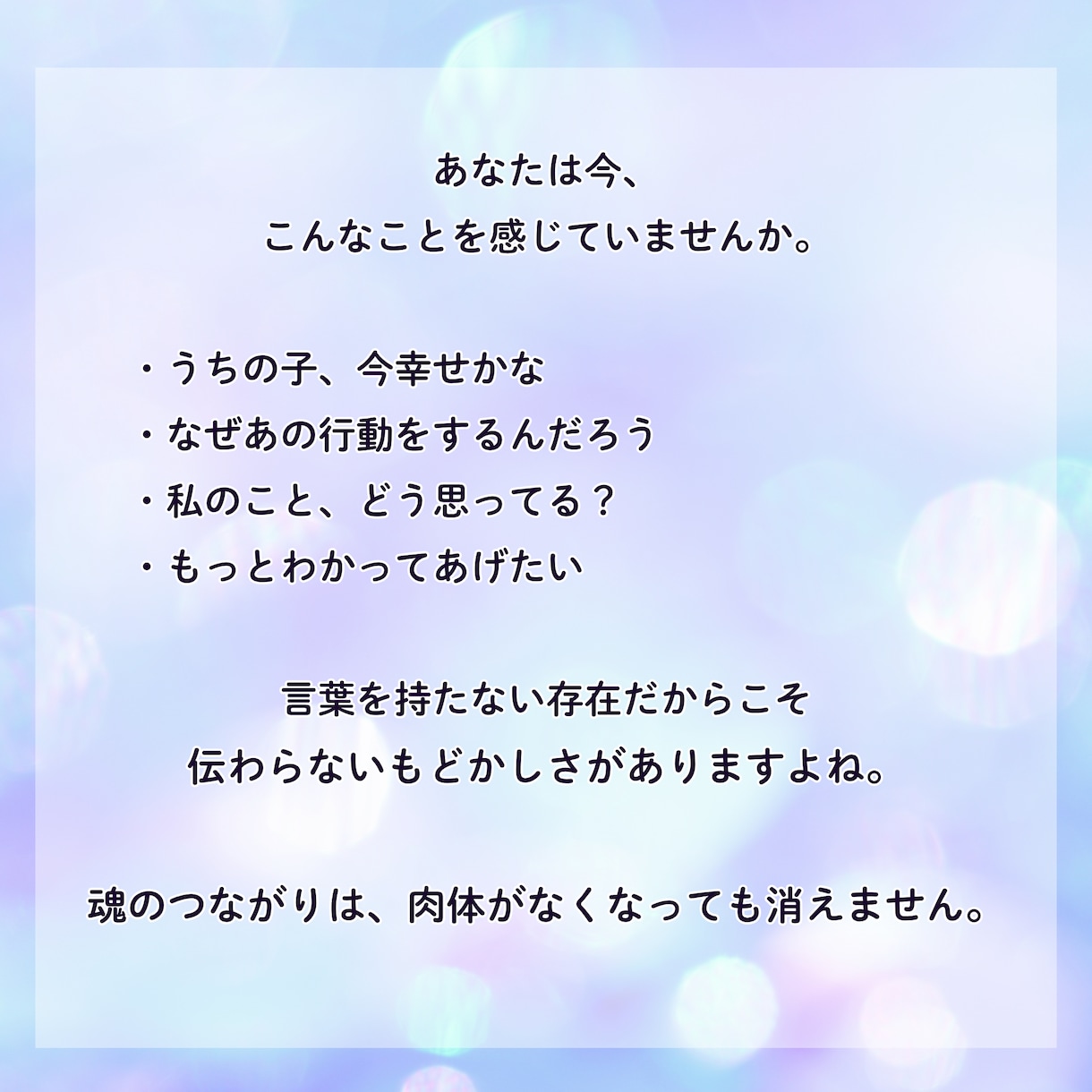 本日すぐ鑑定！ペット占い　霊視で鑑定します ペット 家族 虹の橋を渡った子からのメッセージもお届けします イメージ3