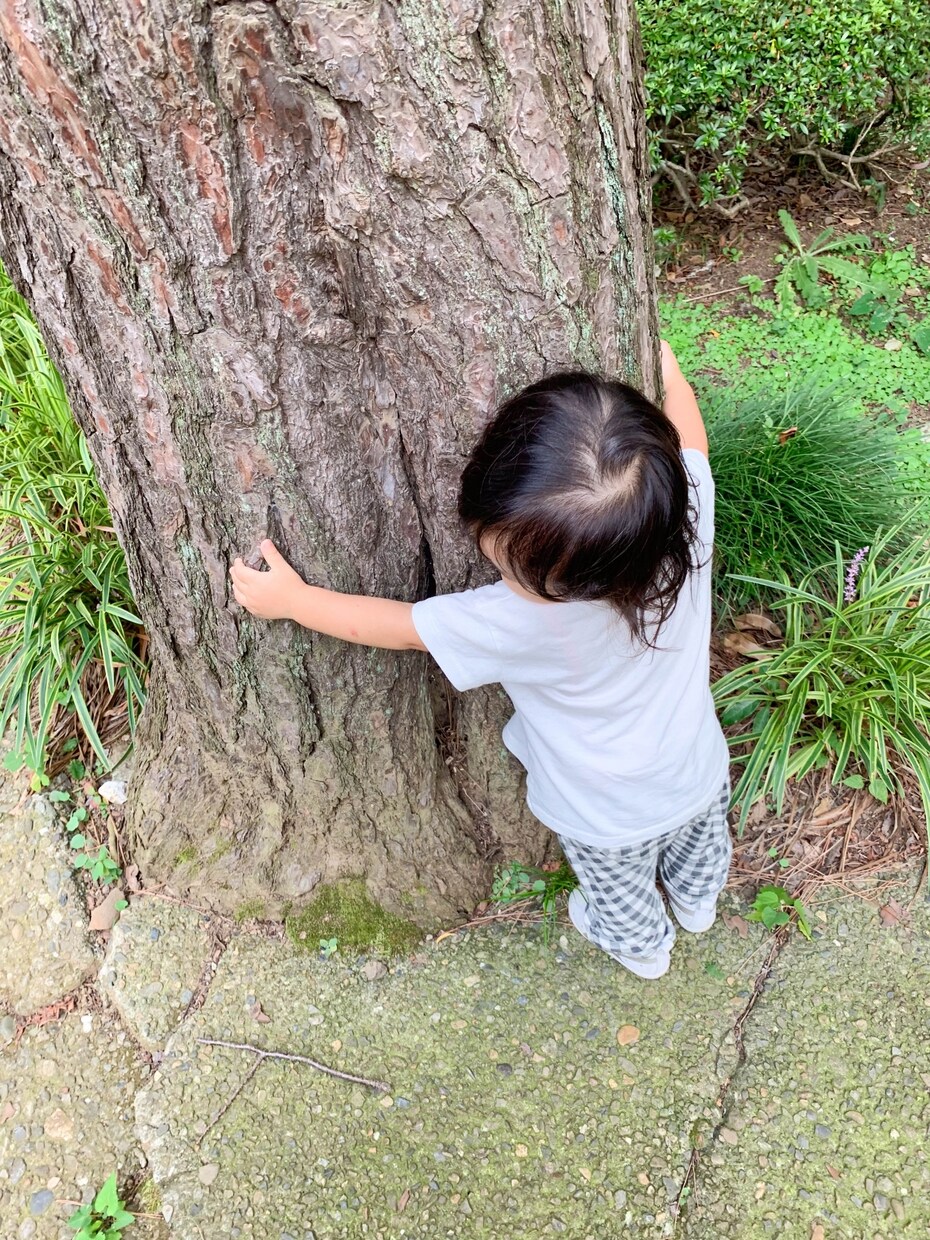 元教頭｜どんな話でも大丈夫❗️しっかり受け止めます 人生の折り返しに、何でも話せる誰かがいるという安心を✨ イメージ5