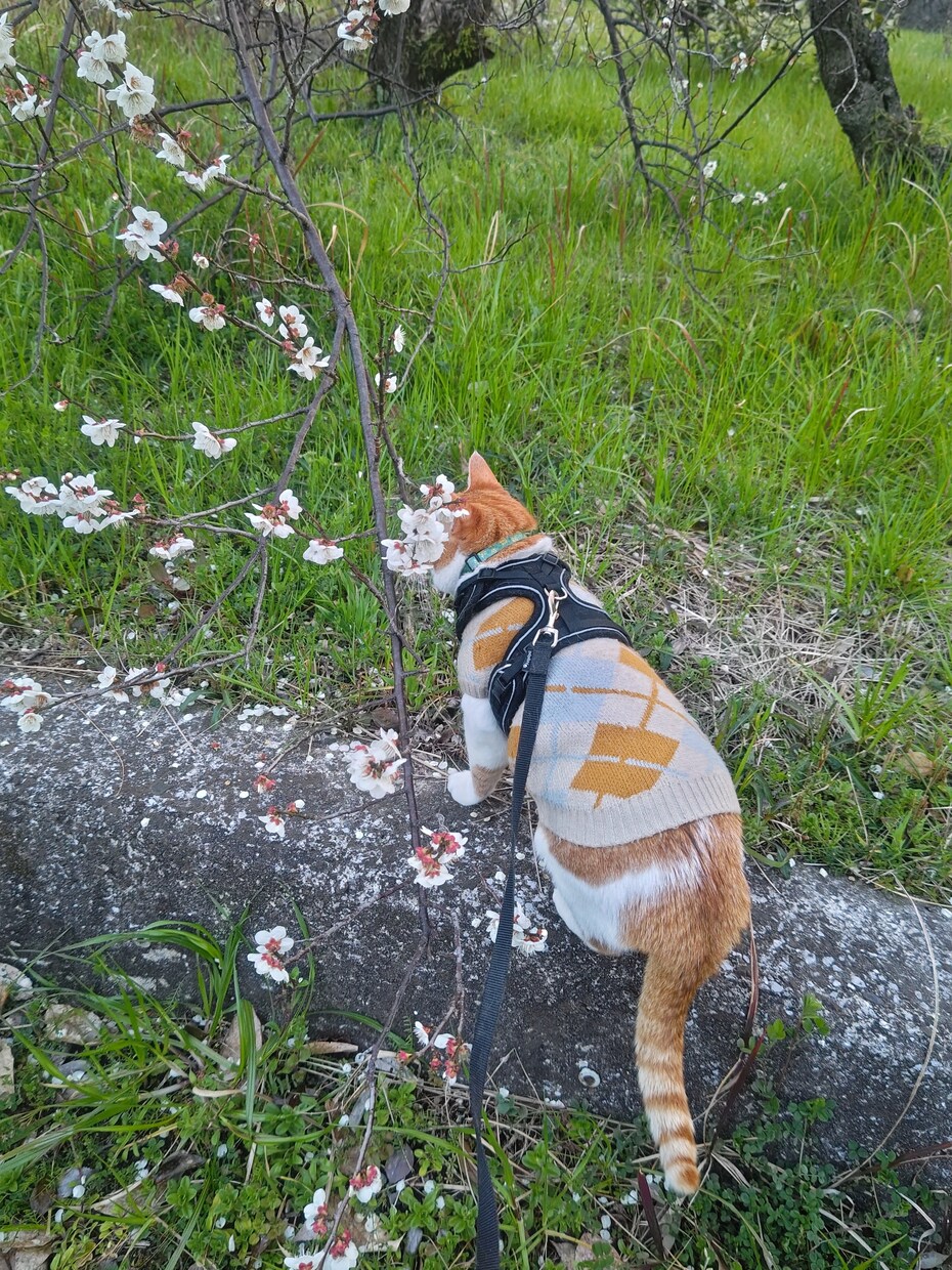 悩みは何でもお気軽に聞きます 悩みは明日に持ち越さずスッキリしましょう。 イメージ2