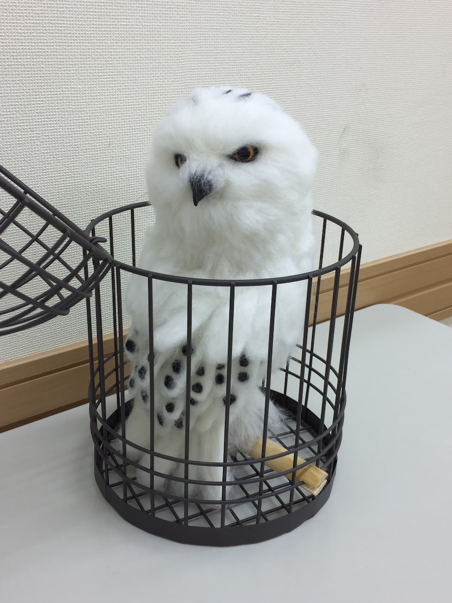 お写真からペットちゃんのそっくりドール作ります 「お帰り」と言って頂ける作品を目指しています。 イメージ10
