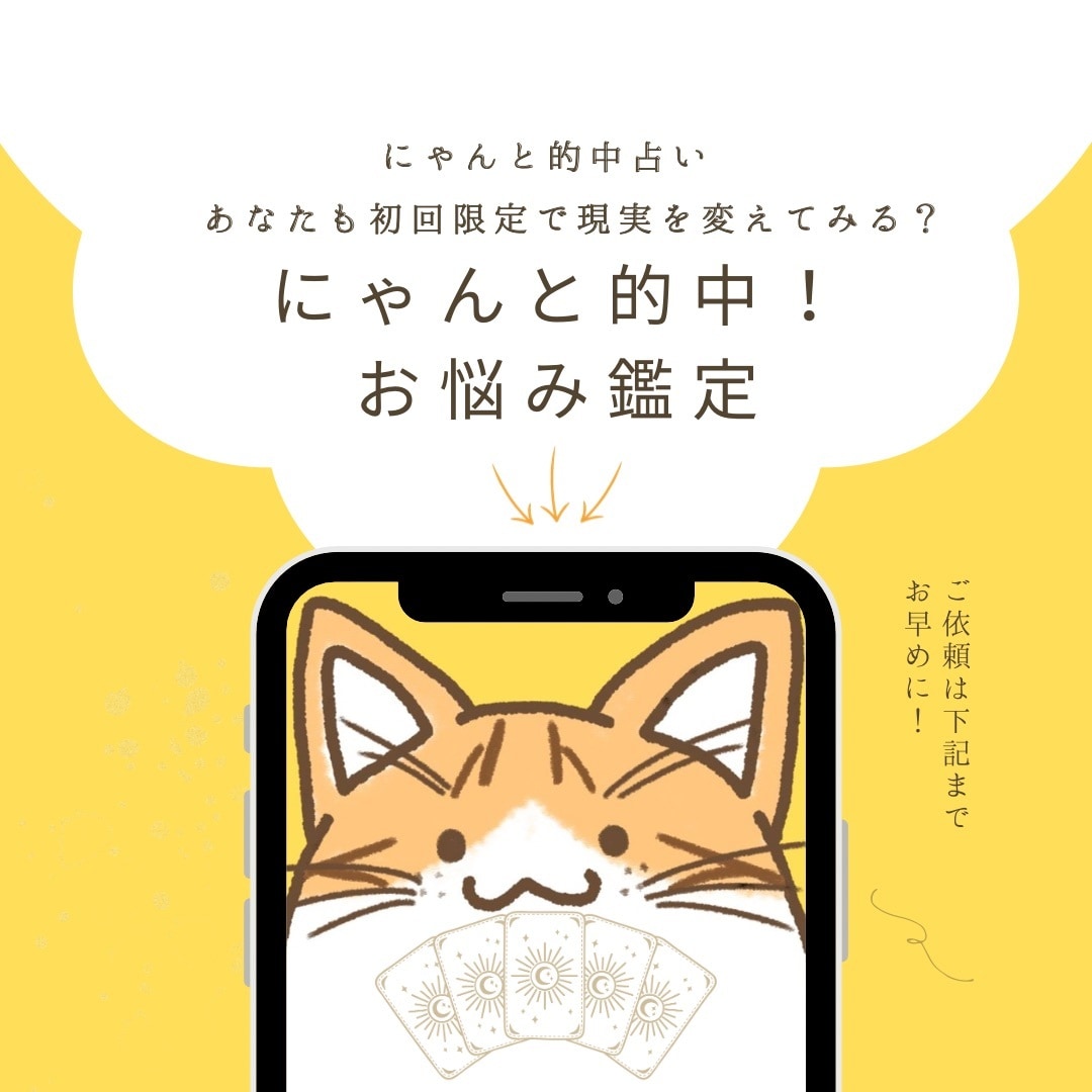 初回限定◎にゃんと的中！お悩み鑑定いたします 総実績100名さま限定！本音と現実を整え次の一歩を後押し⭐︎ イメージ10