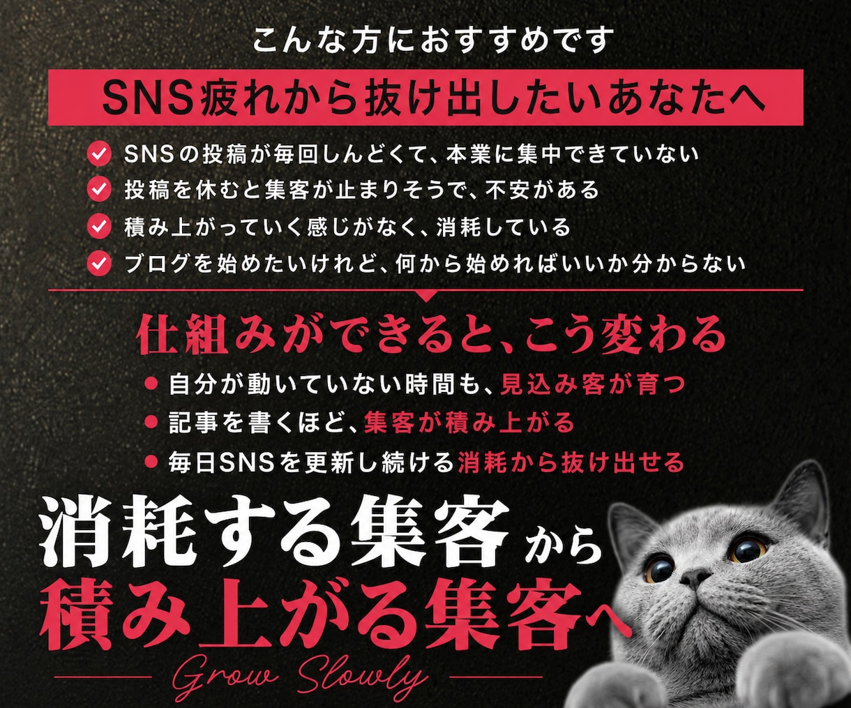 集客設計込み｜WordPressブログ構築します SNS・広告不要！ずる賢い集客の仕組みを作ります イメージ3